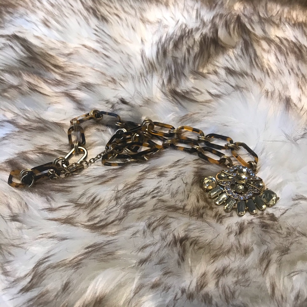 J. Crew Factory Tortoise Necklace